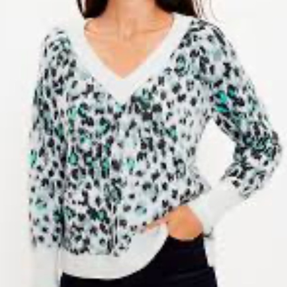 Loft Leopard Print Relaxed V-Neck Sweater - Picture 2 of 6